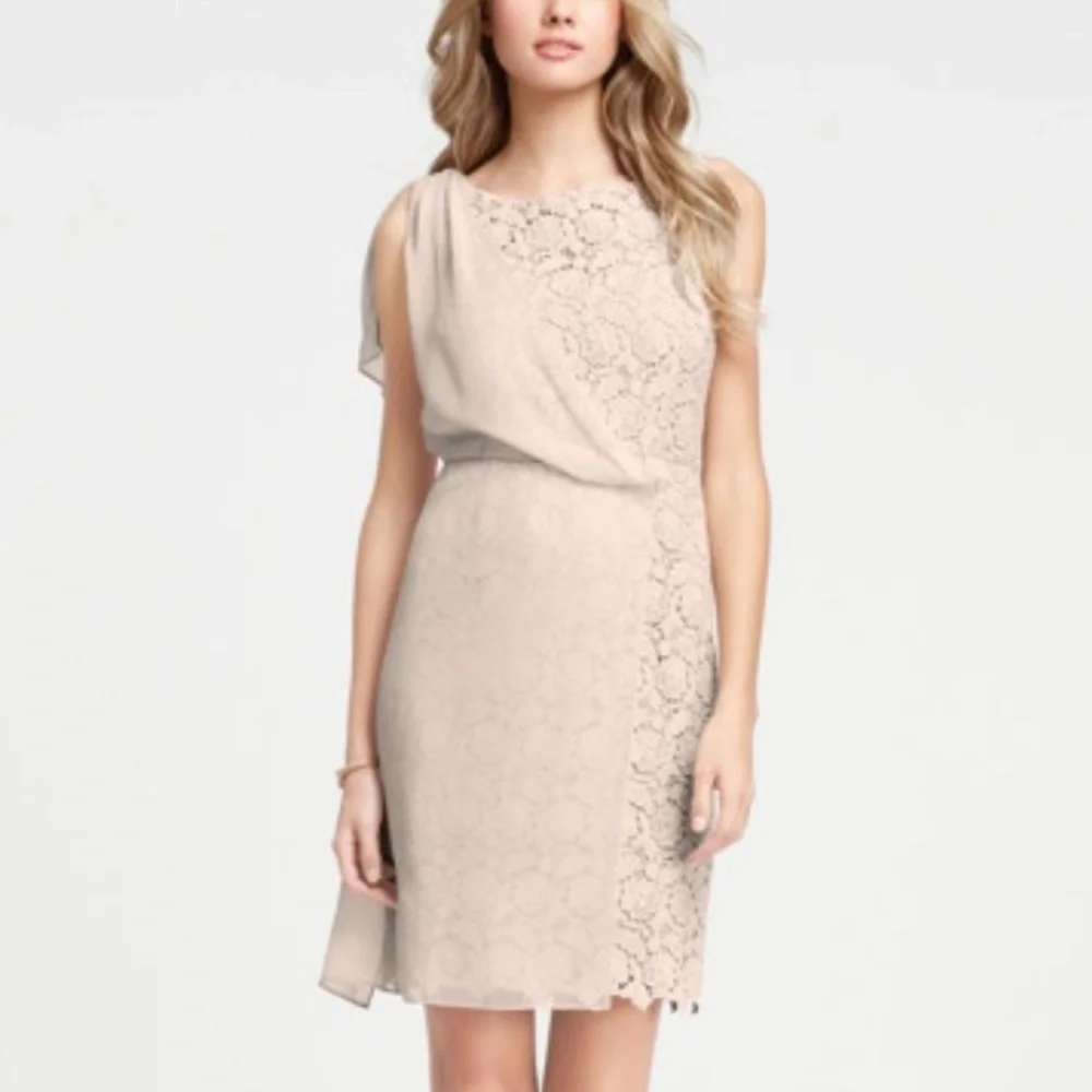 Ann Taylor Beige Floral Crochet Lace Chiffon Overlay Sheath Dress Size 8P